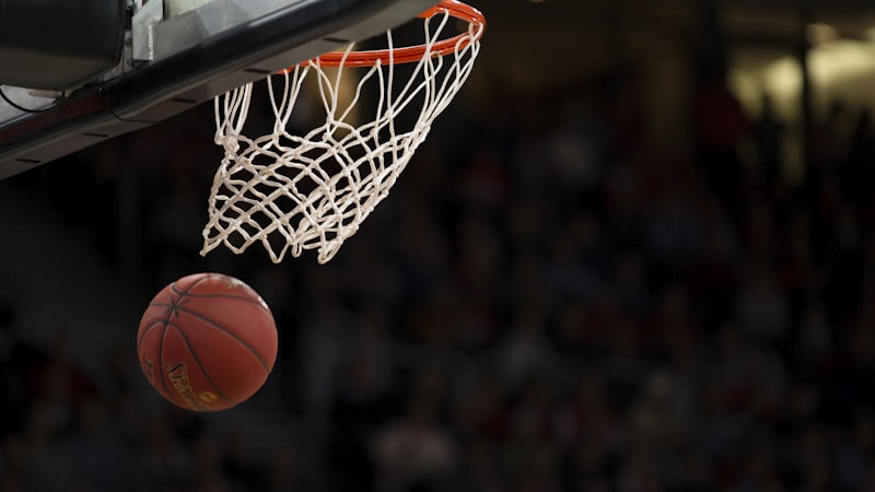 NBA篮球明星勒布朗·詹姆斯在2026赛季比赛中的精彩瞬间